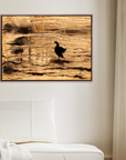 Canadian Goose