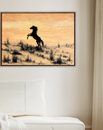 Arabian Horse