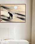 Arabian Sand Gazelle