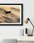 Eagle in Flight