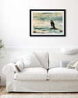 Magellanic Penguin