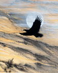 Misty Moon