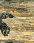 Owl in Flight