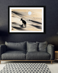 Arabian Sand Gazelle