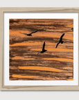 Flight of Freedom
