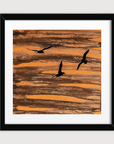 Flight of Freedom
