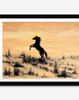 Arabian Horse