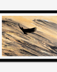 Eagle in Flight