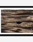 Footsteps in the Sand