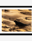 Seal Searching