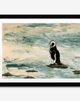 Magellanic Penguin