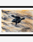 Swimming Seal