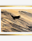 Eagle in Flight