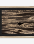 Footsteps in the Sand
