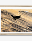 Eagle in Flight