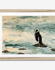 Magellanic Penguin