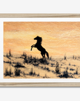 Arabian Horse