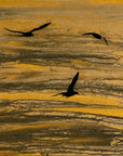 On Golden Sands