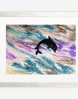 Playful Dolphin