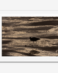 Footsteps in the Sand