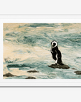 Magellanic Penguin