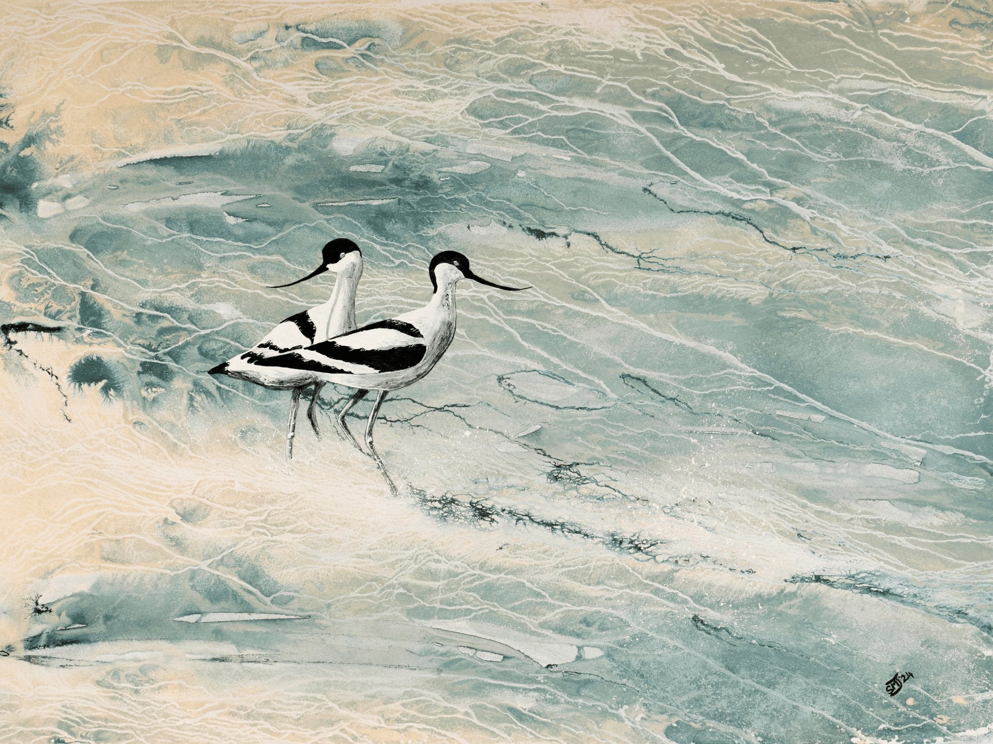 Ocean Wings