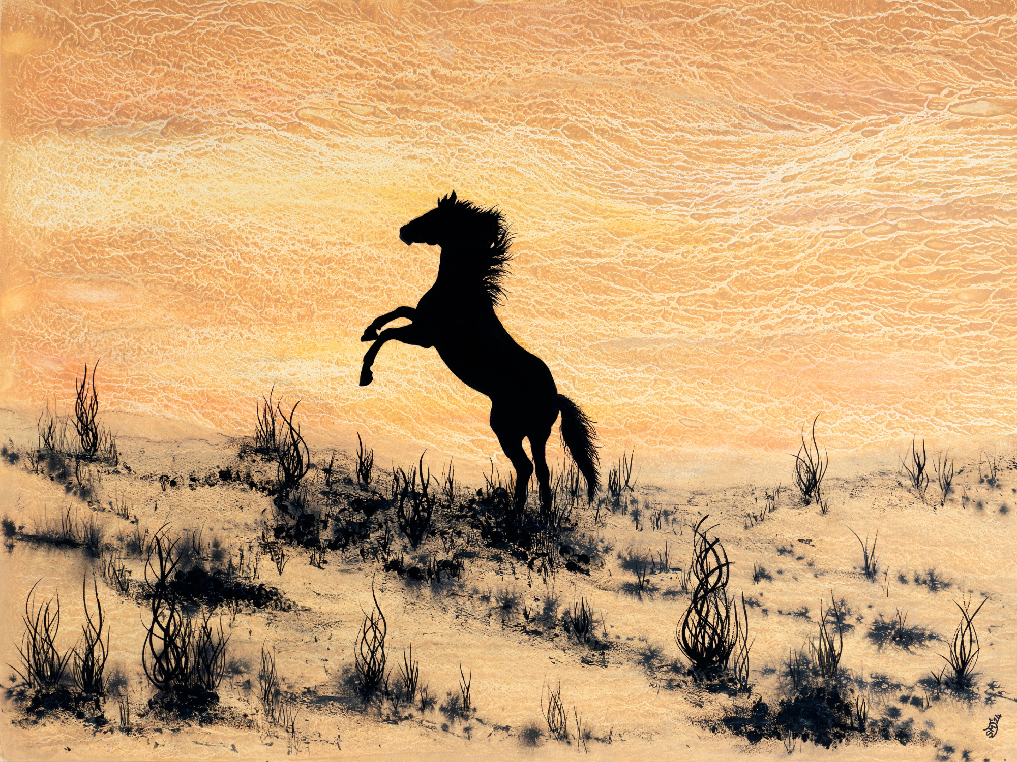 Arabian Horse