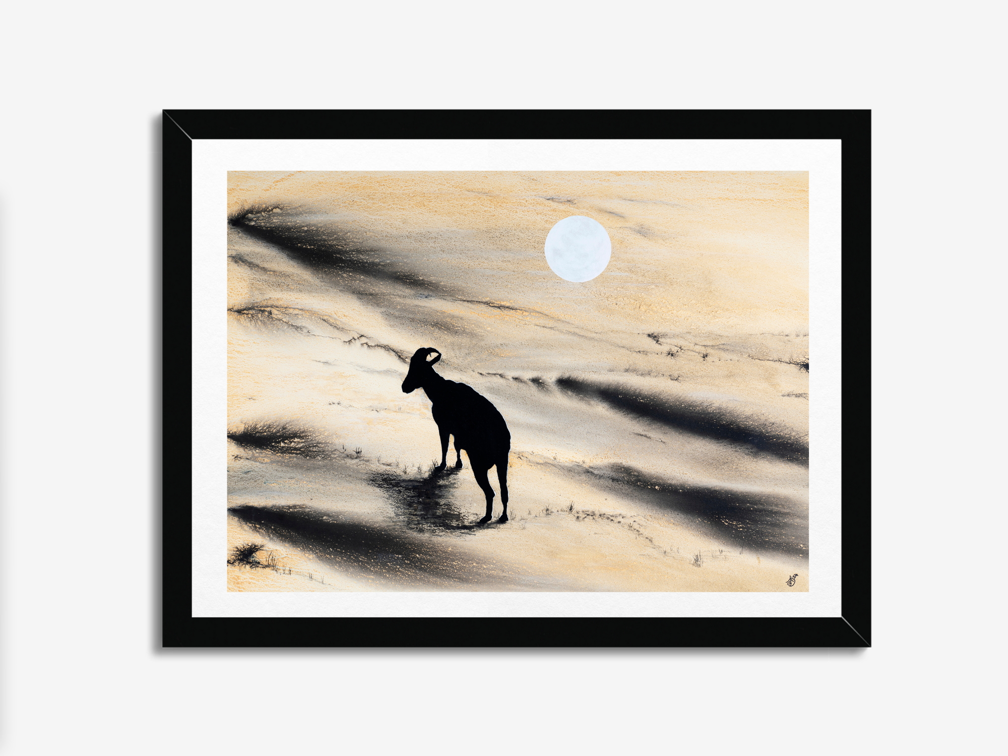 Arabian Sand Gazelle