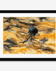 Jellyfish