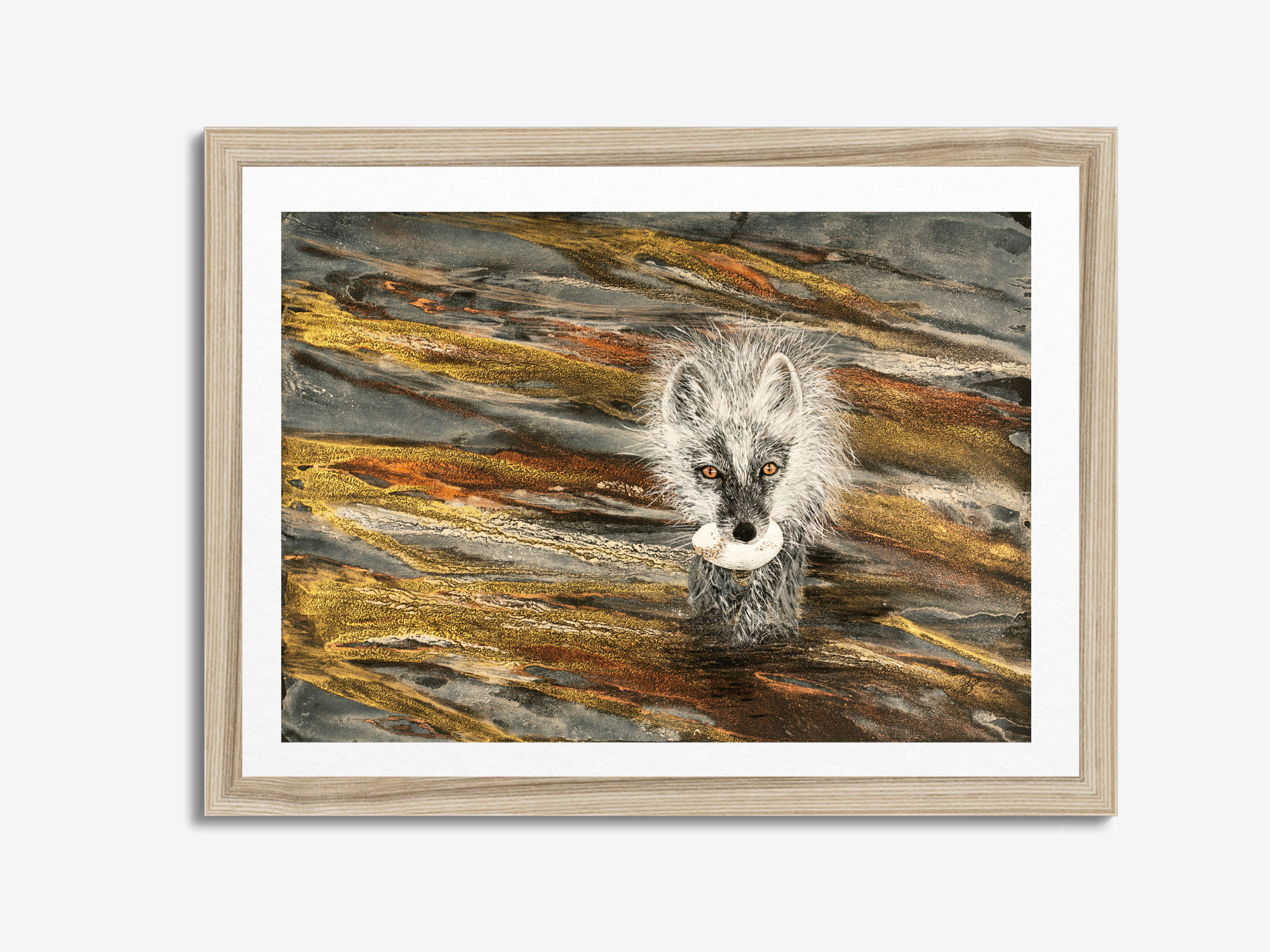 Arctic Fox