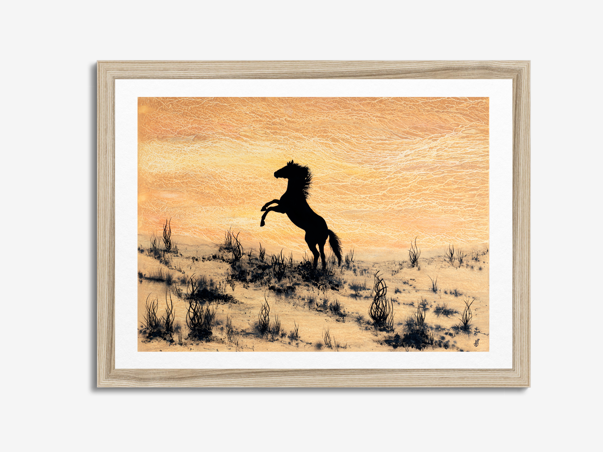 Arabian Horse