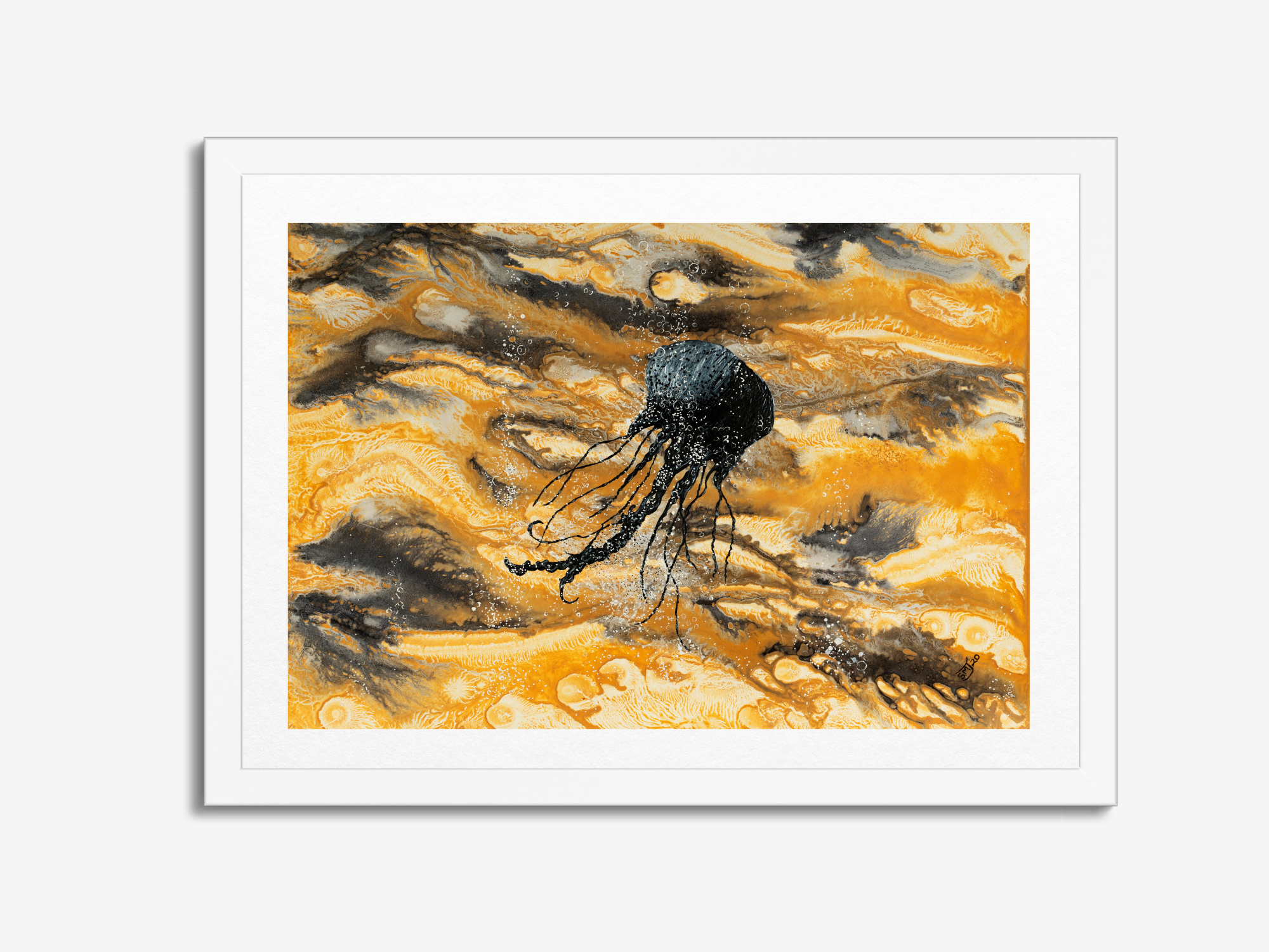 Jellyfish