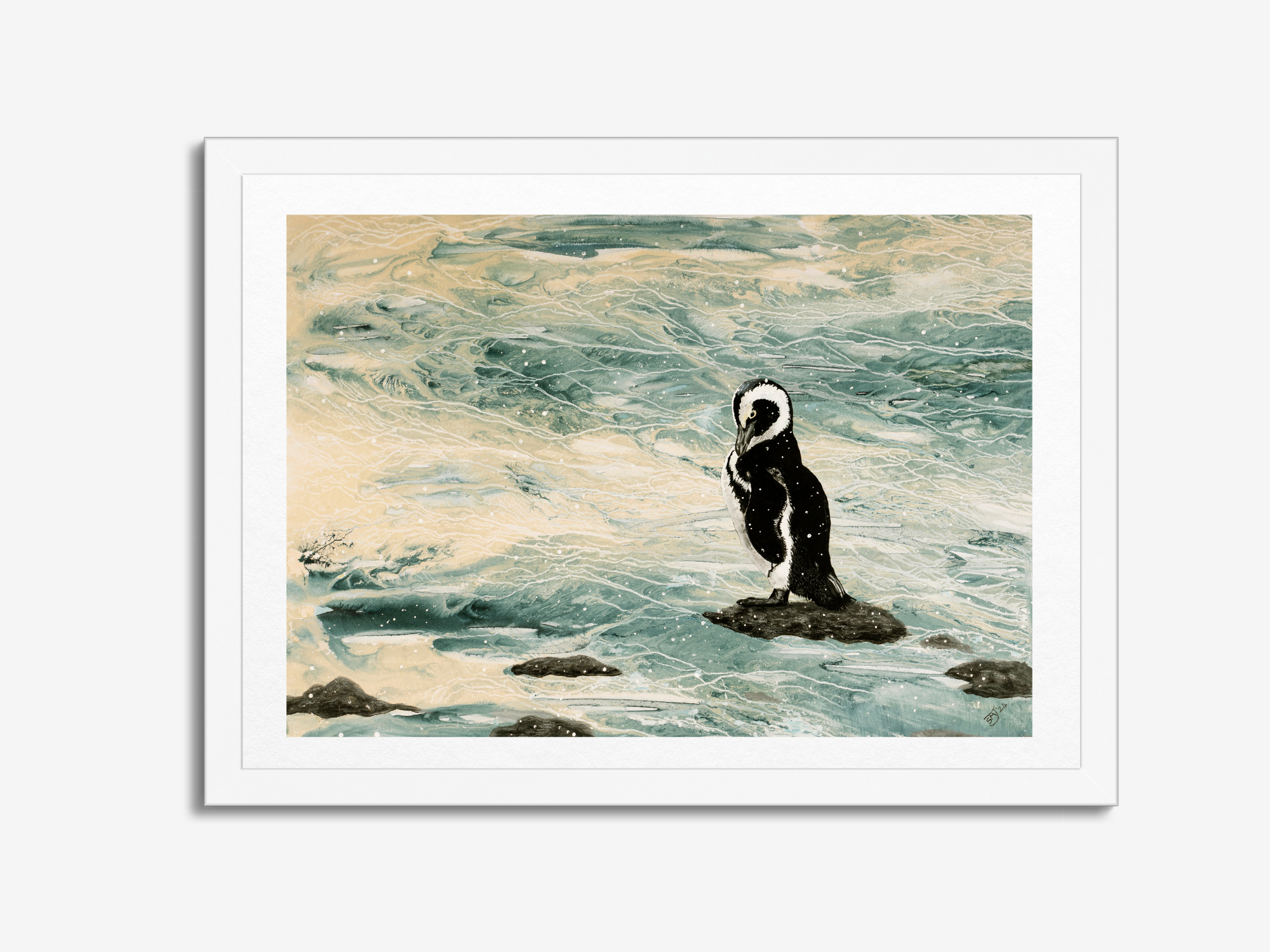 Magellanic Penguin